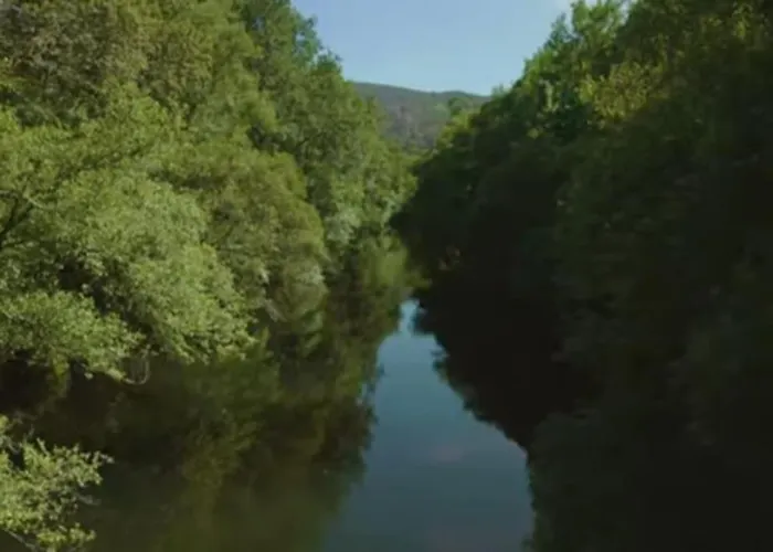 Experiencia Vacacional * Мондарис